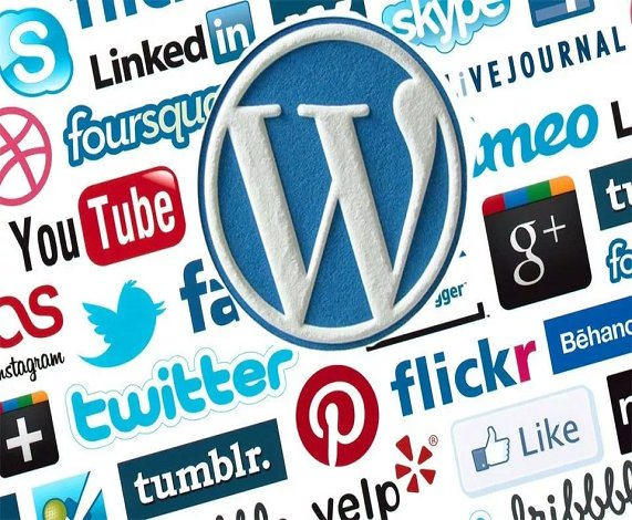 WordPress  is a popular content management system (CMS)